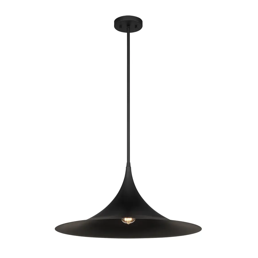 Bowdin 1-Light Pendant in Matte Black - Image 1