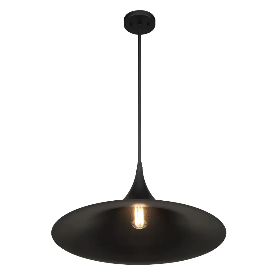 Bowdin 1-Light Pendant in Matte Black - Image 4