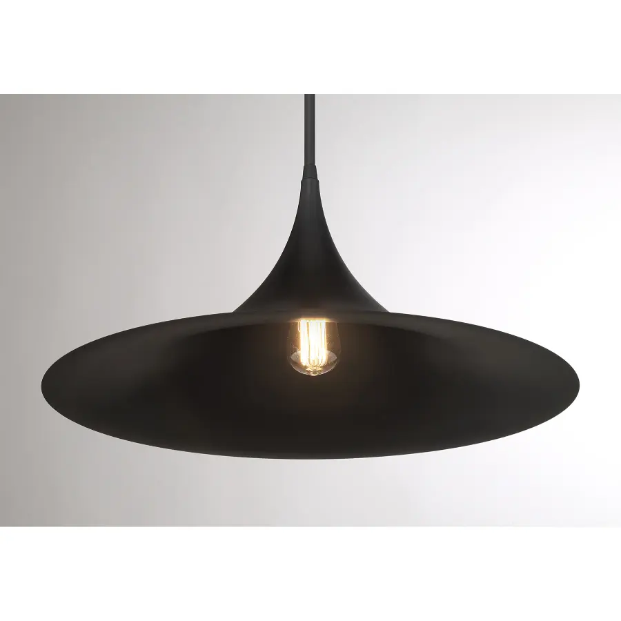Bowdin 1-Light Pendant in Matte Black - Image 5