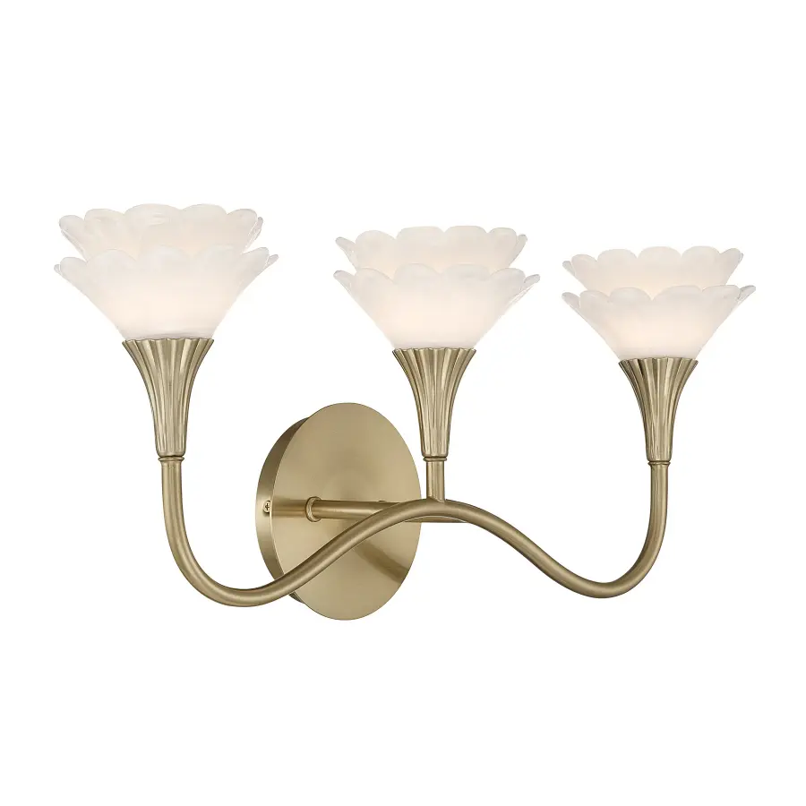 Florena 3-Light Bathroom Vanity Light in Noble Brass by Breegan Jane - Image 4
