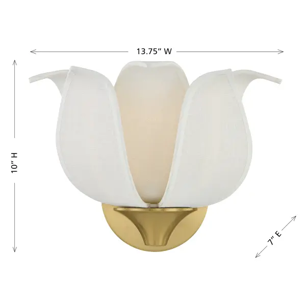 Elsie 1-Light Wall Sconce in Warm Brass by Breegan Jane - Image 6