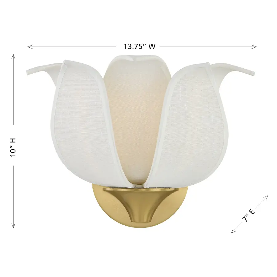 Elsie 1-Light Wall Sconce in Warm Brass by Breegan Jane - Image 6