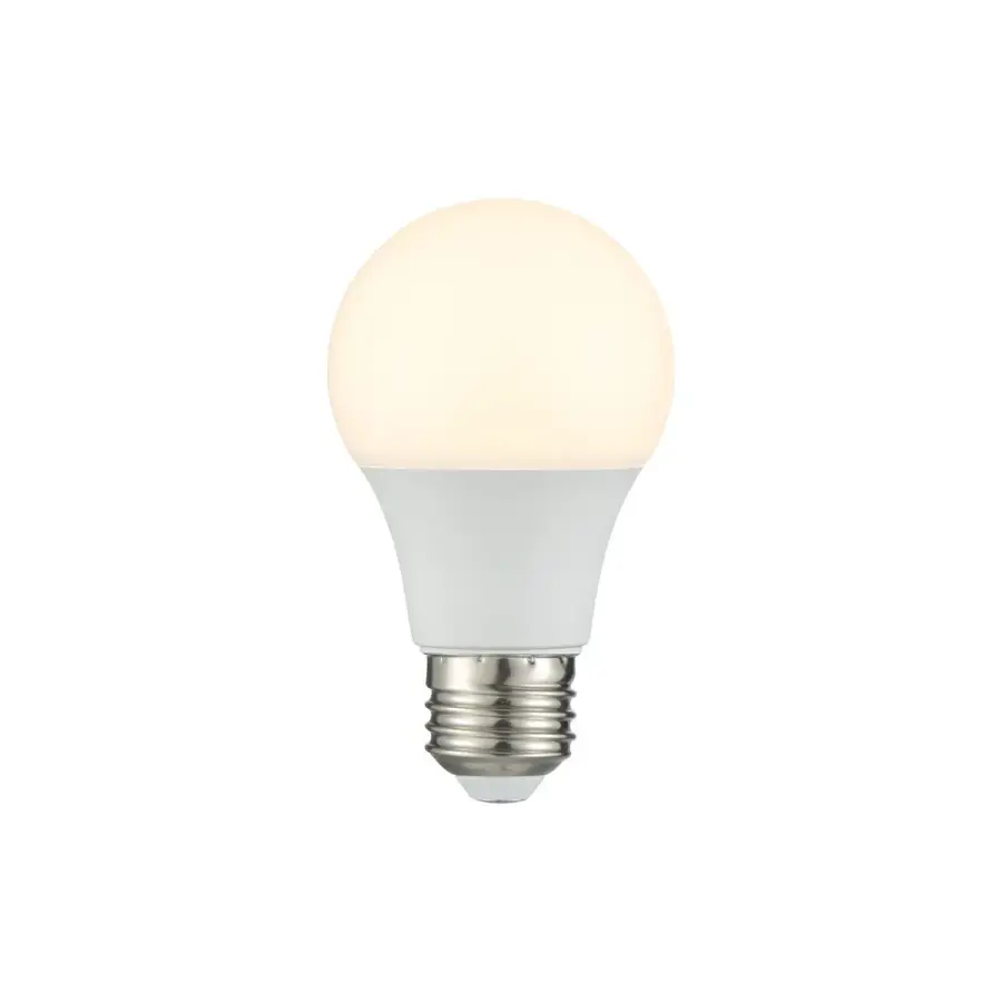 9W LED A19 Bulb in Frost