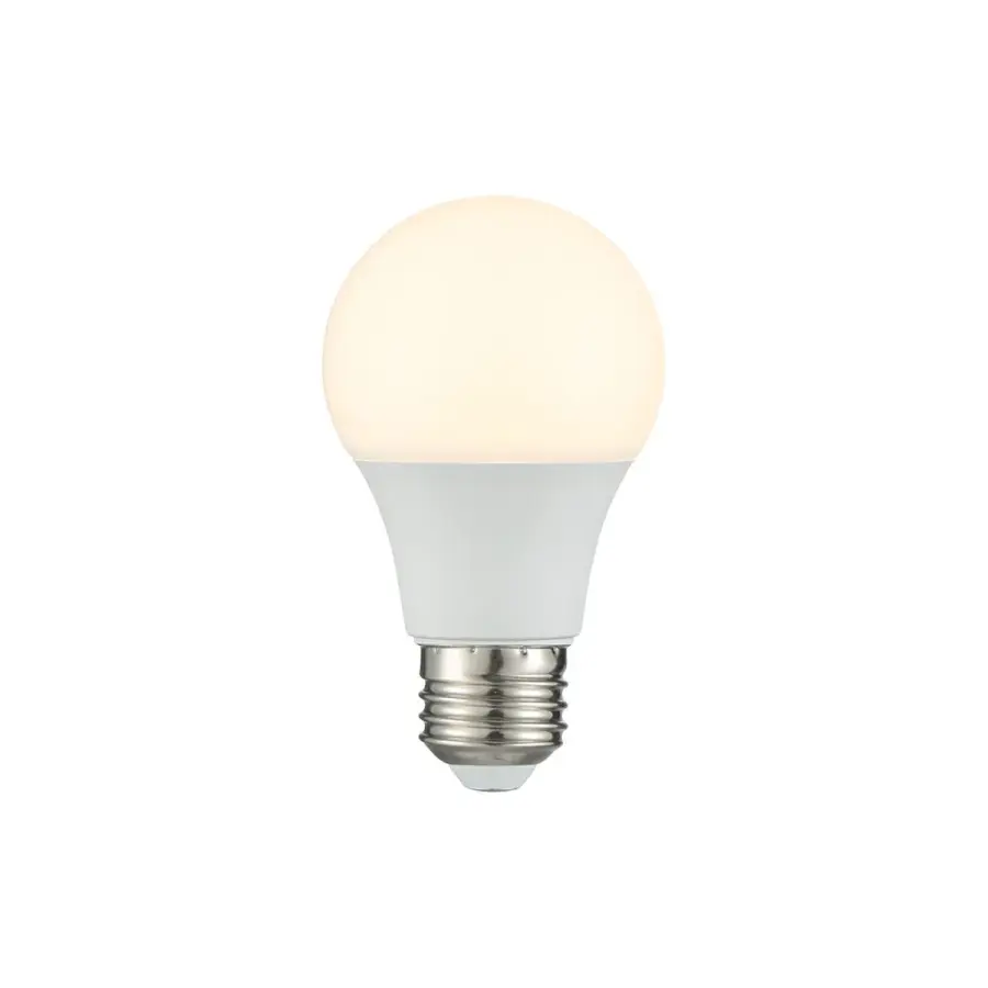 9W LED A19 Bulb in Frost