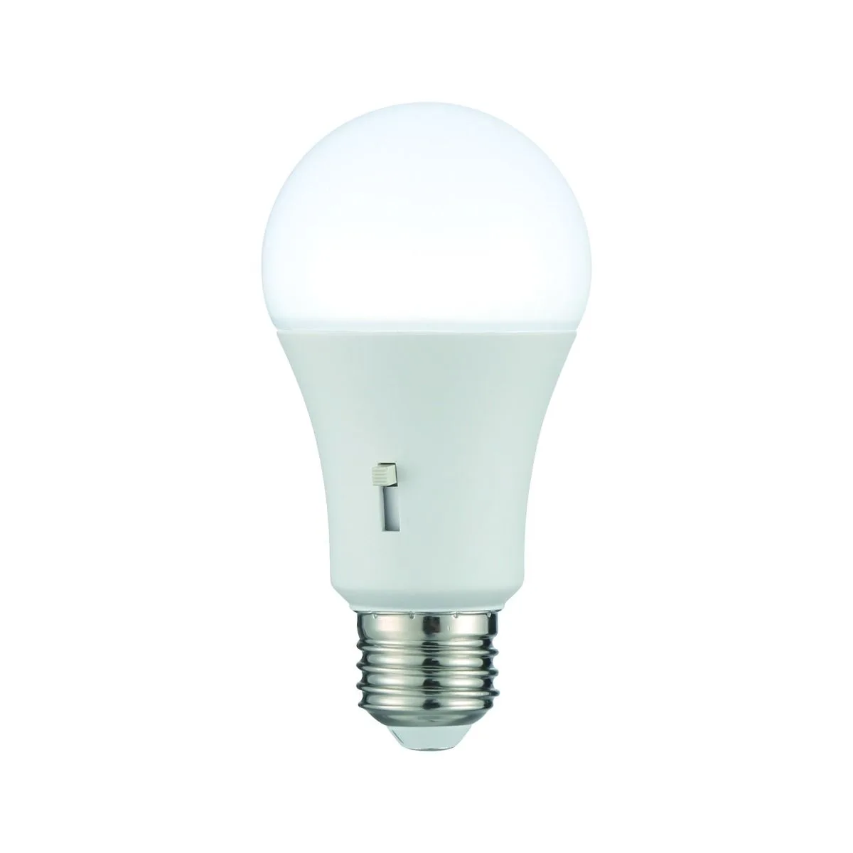 A19 LED Bulb in Frost