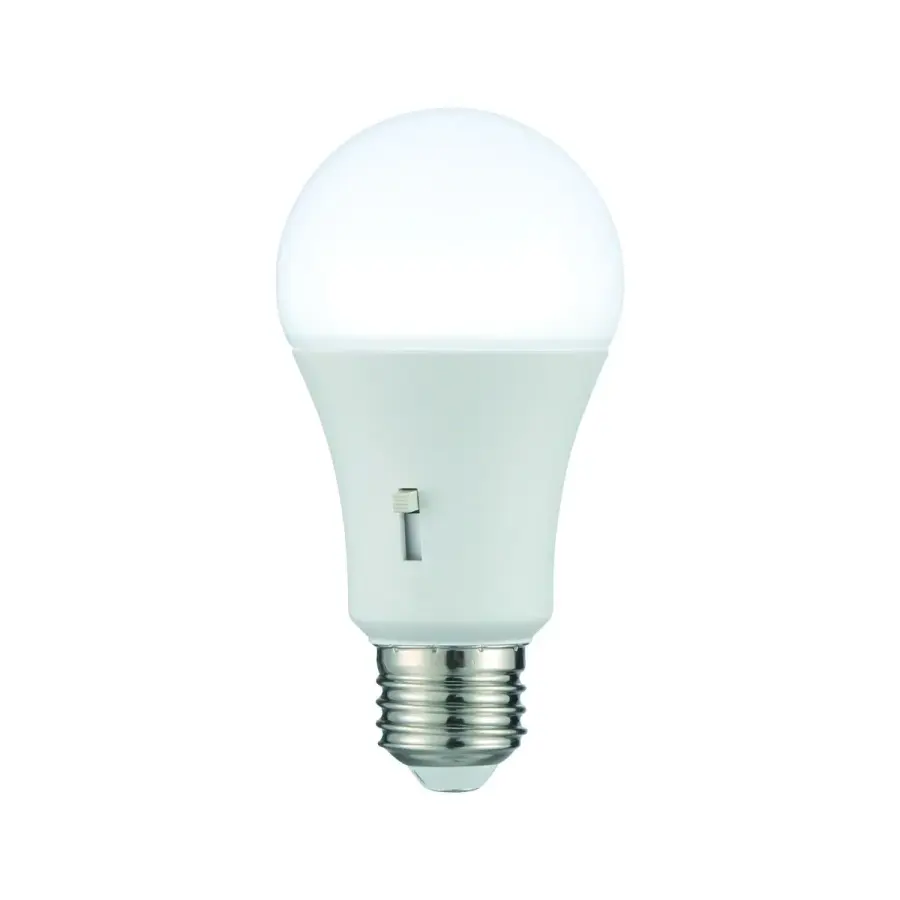 A19 LED Bulb in Frost