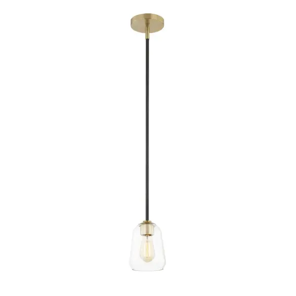 Collection: Fusion Finish: Matte Black w/ Brass Glass: Clear Glass Width: 5.50" Height: 7.50" Canopy: 5" Dia. Number of Bulbs: 1 Maximum Wattage: 60.00 W Bulb Base: E26 Voltage: 120.00 V Safety Listing: UL/ETL Safety Rating: Damp