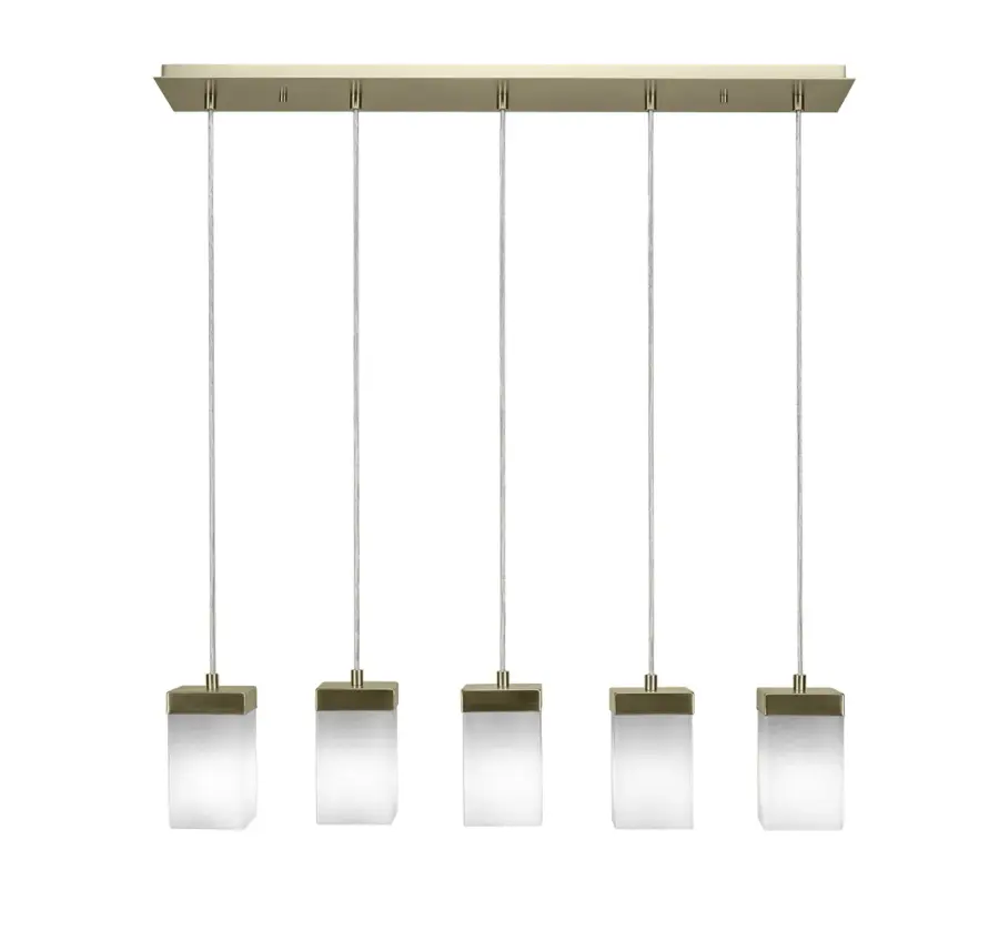 Nouvelle 5-Light Linear Pendant in New Age Brass - Image 1