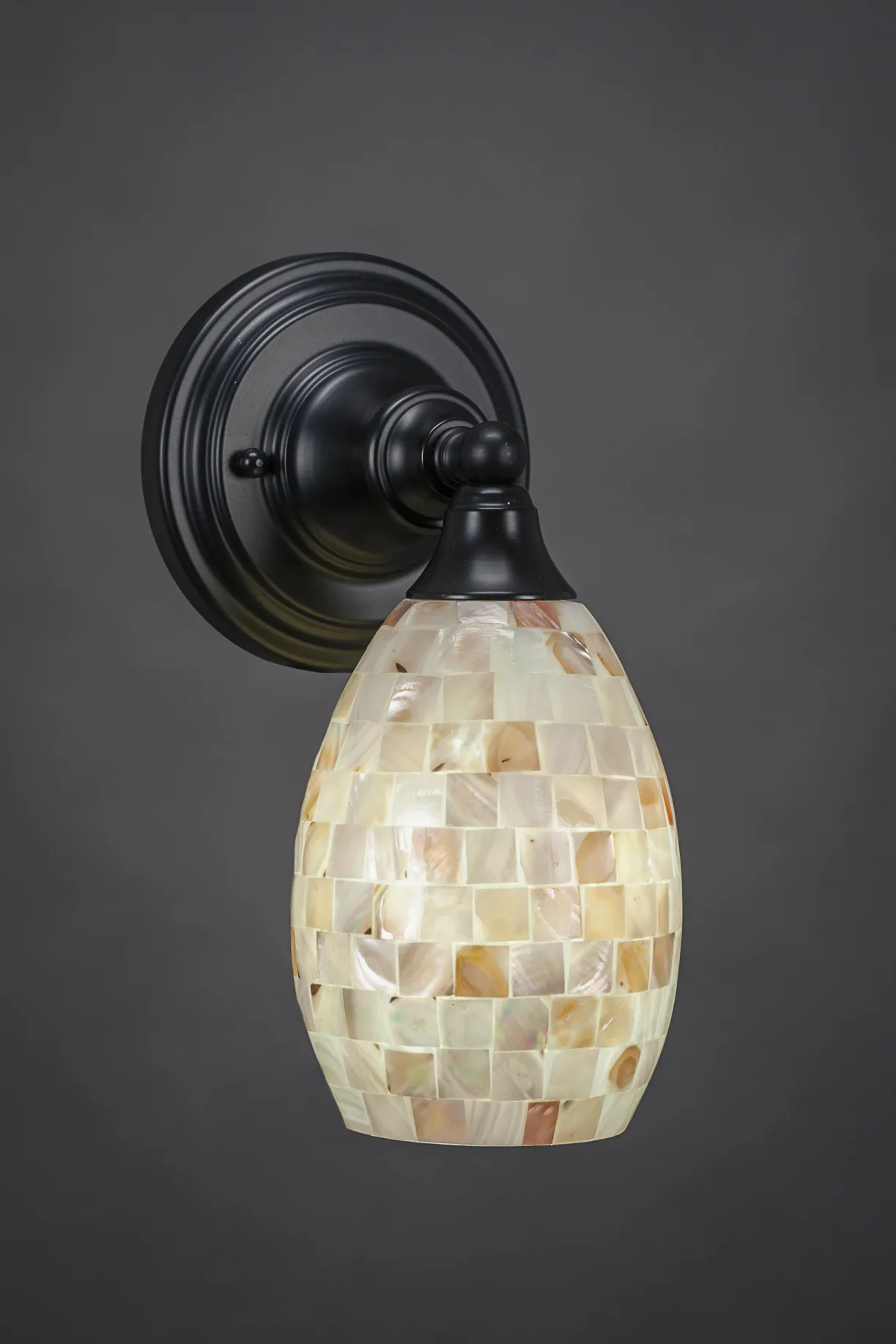 Any One Light Wall Sconce in Matte Black