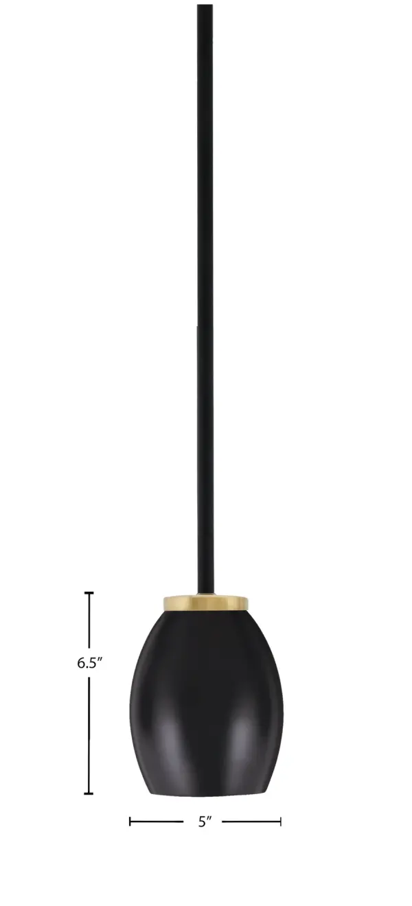 Sandia 1-Light Mini Pendant in Matte Black & New Aged Brass - Image 2