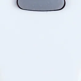 Model 210019