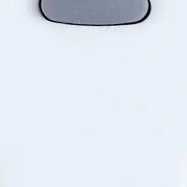 Fanaway Remote Control