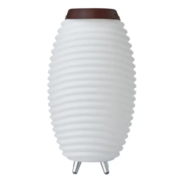 The Synergy 50 combines ambient LED lighting with premium Bluetooth audio and a built-in wine cooler, creating the ultimate portable entertainment solution. Perfect for indoor and outdoor gatherings with 4 dimmable intensity levels.
