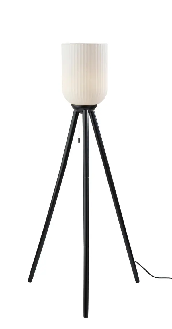 Kinsley Floor Lamp in Black