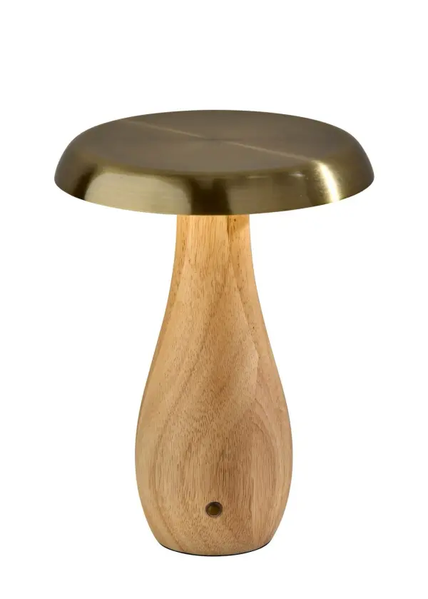 This cordless accent lamp features a slim stem and oversized conical shade for a sharp modern silhouette. The pared-back design keeps the look minimal, while the cordless format makes it easy to place on tables, shelves, and nightstands. It is an effortless way to add focused light and a polished finish to your space. Collection: Naya Finish: Natural Wood Base Glass: Antique Brass Width: 7.00" Height: 9.25" Length: 7.00" Weight: 4.00 lb Extension from Wall: 7.00" Wire: 39" Black USB Cord Maximum Wattage: 2.00 W Bulb Base: Integrated Light Source: LED Material: Iron:20% Wood:70% Electric:10% Country of Origin: China Switch: 4-way touch switch LED