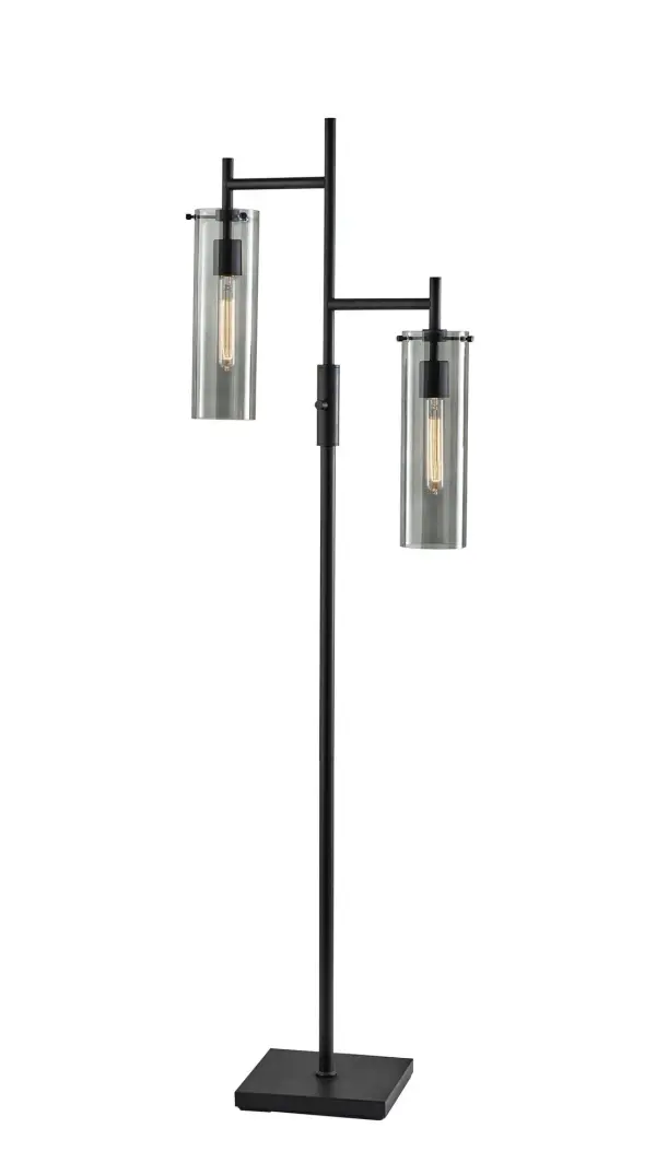 Dalton 2-Light Floor Lamp in Black