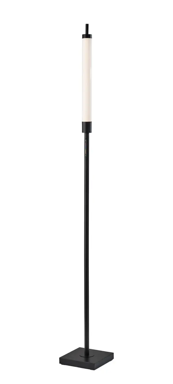 Collin LED Color Changing Floor Lamp
