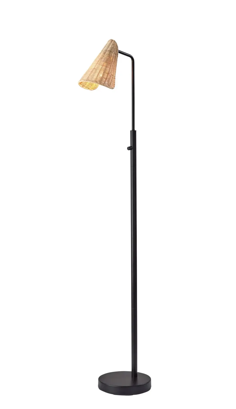 Cove Floor Lamp in Black