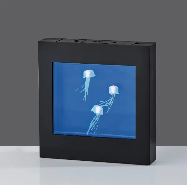 Jellyfish Motion Light Box - Image 6