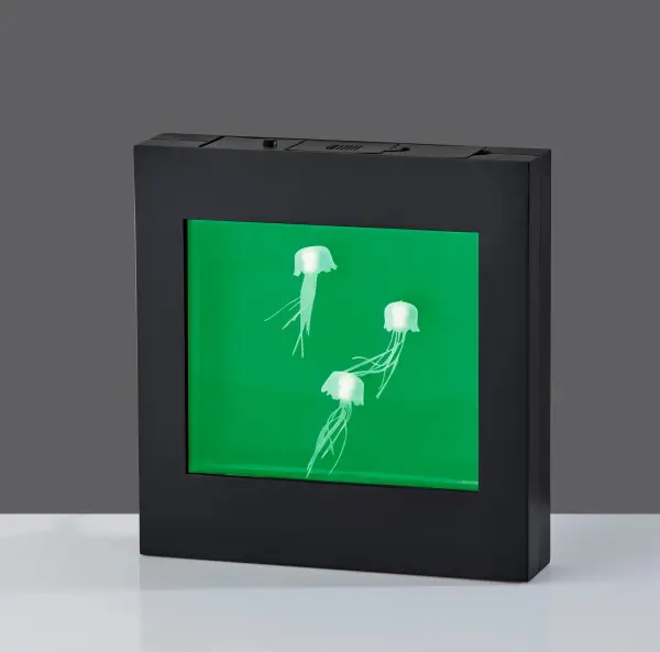 Jellyfish Motion Light Box - Image 9