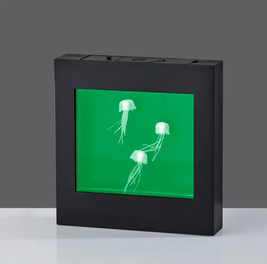 Jellyfish Motion Light Box - Image 9