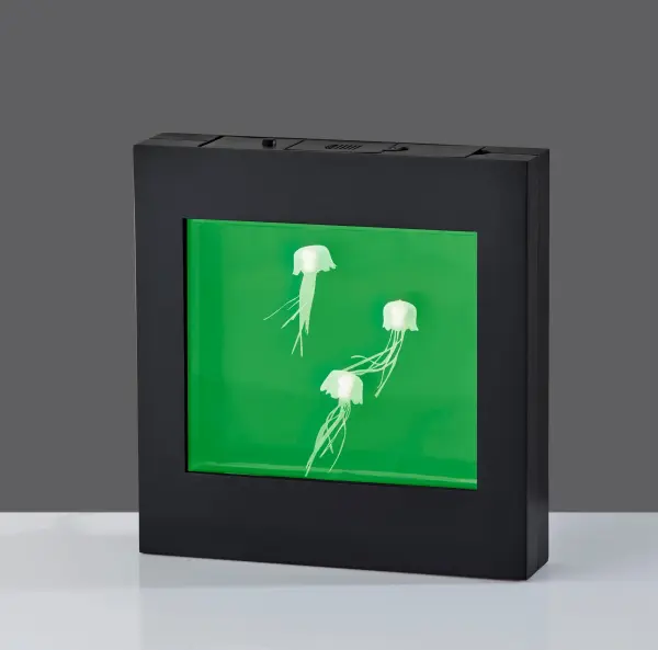 Jellyfish Motion Light Box - Image 10
