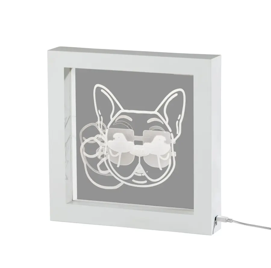 Cool Dog Video Light Box - Image 1