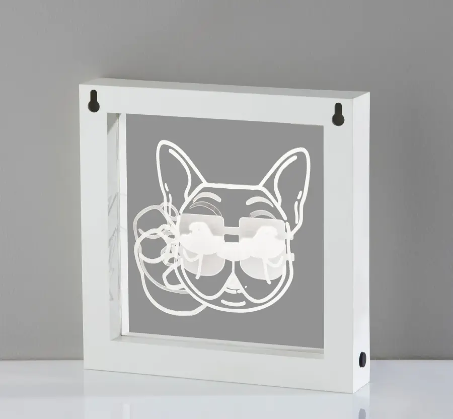Cool Dog Video Light Box - Image 3