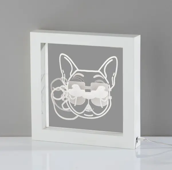 Cool Dog Video Light Box - Image 4