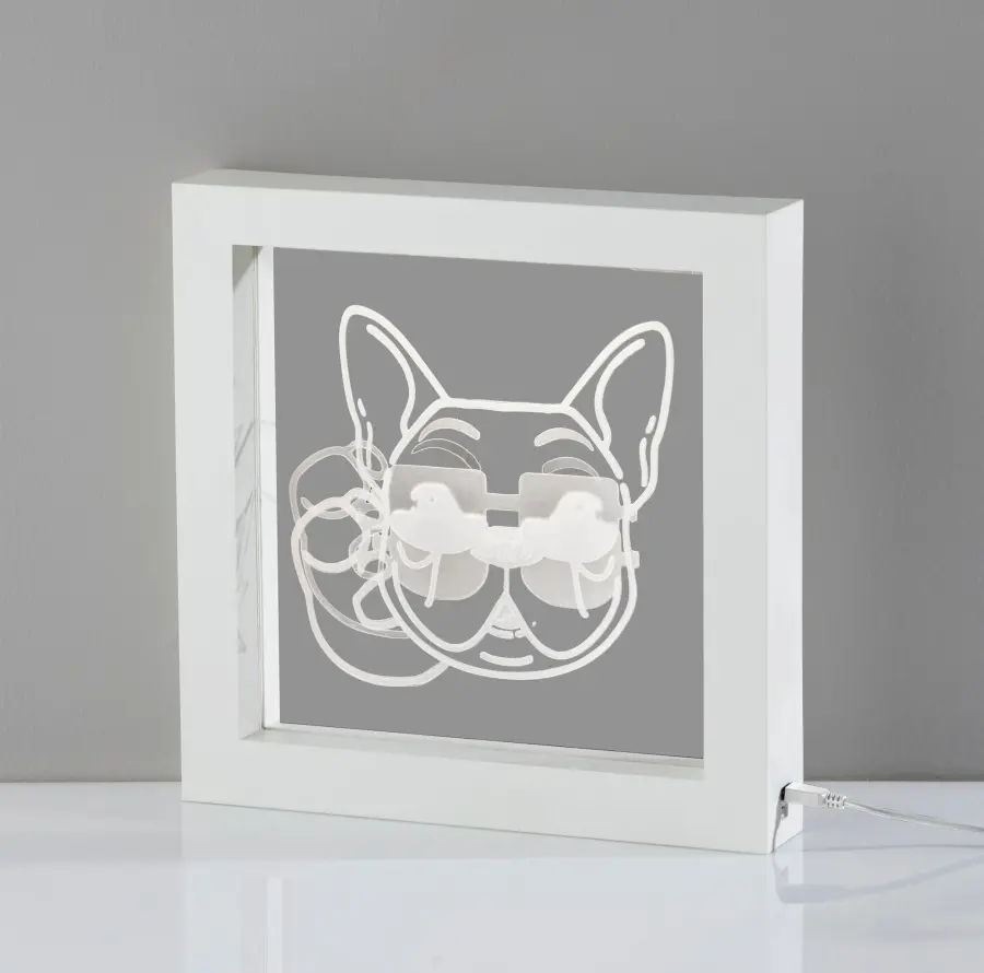 Cool Dog Video Light Box - Image 4