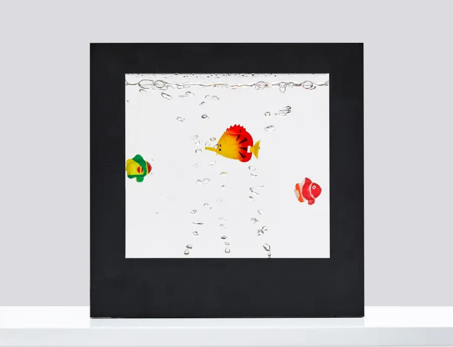 Aquarium Light Box - Image 6