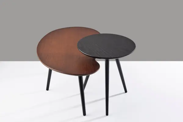 Gilmour Nesting Tables Set of 2 - Image 6