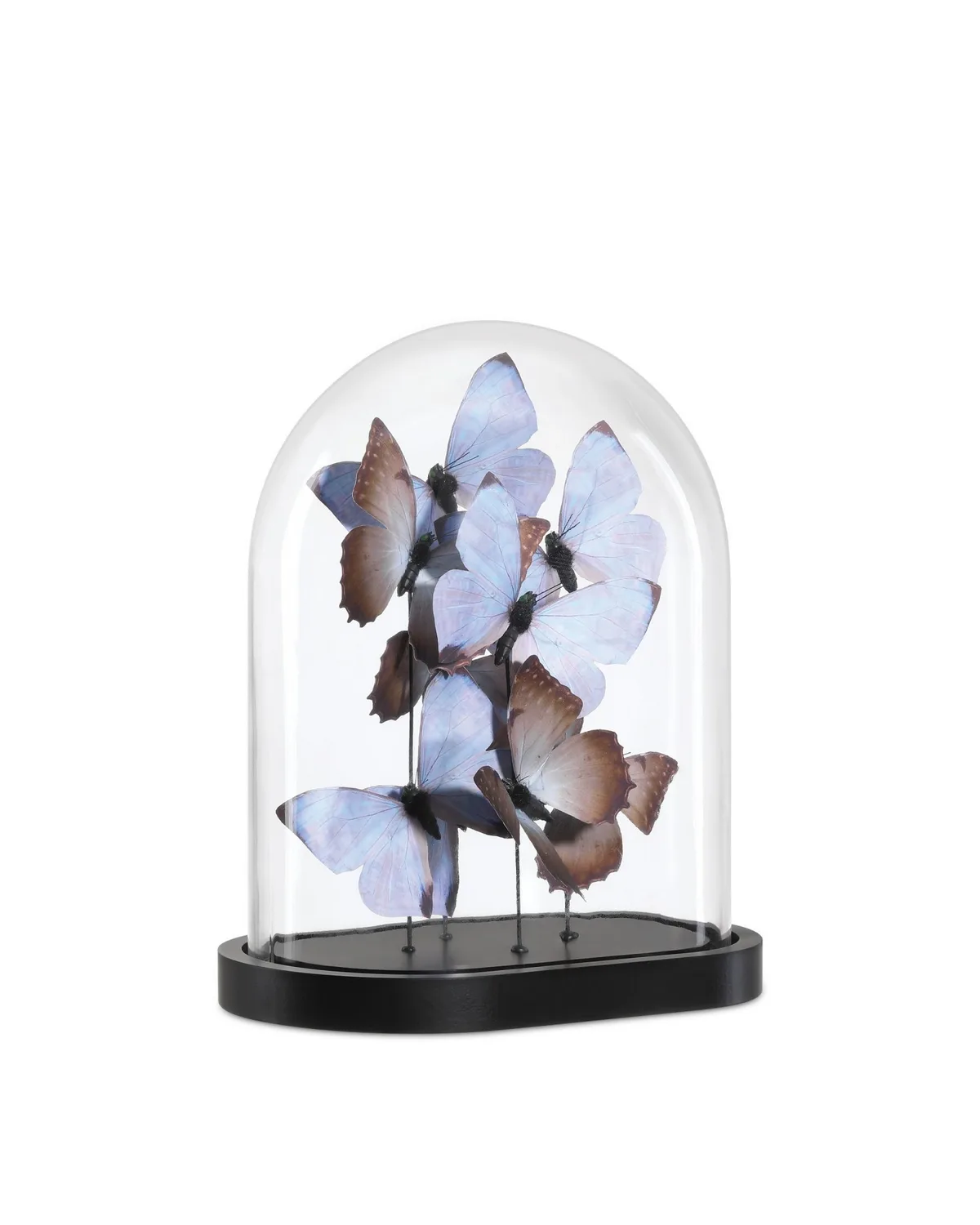 Rue de Bac Butterflies Sculpture in Lilac/Brown/Black/Clear