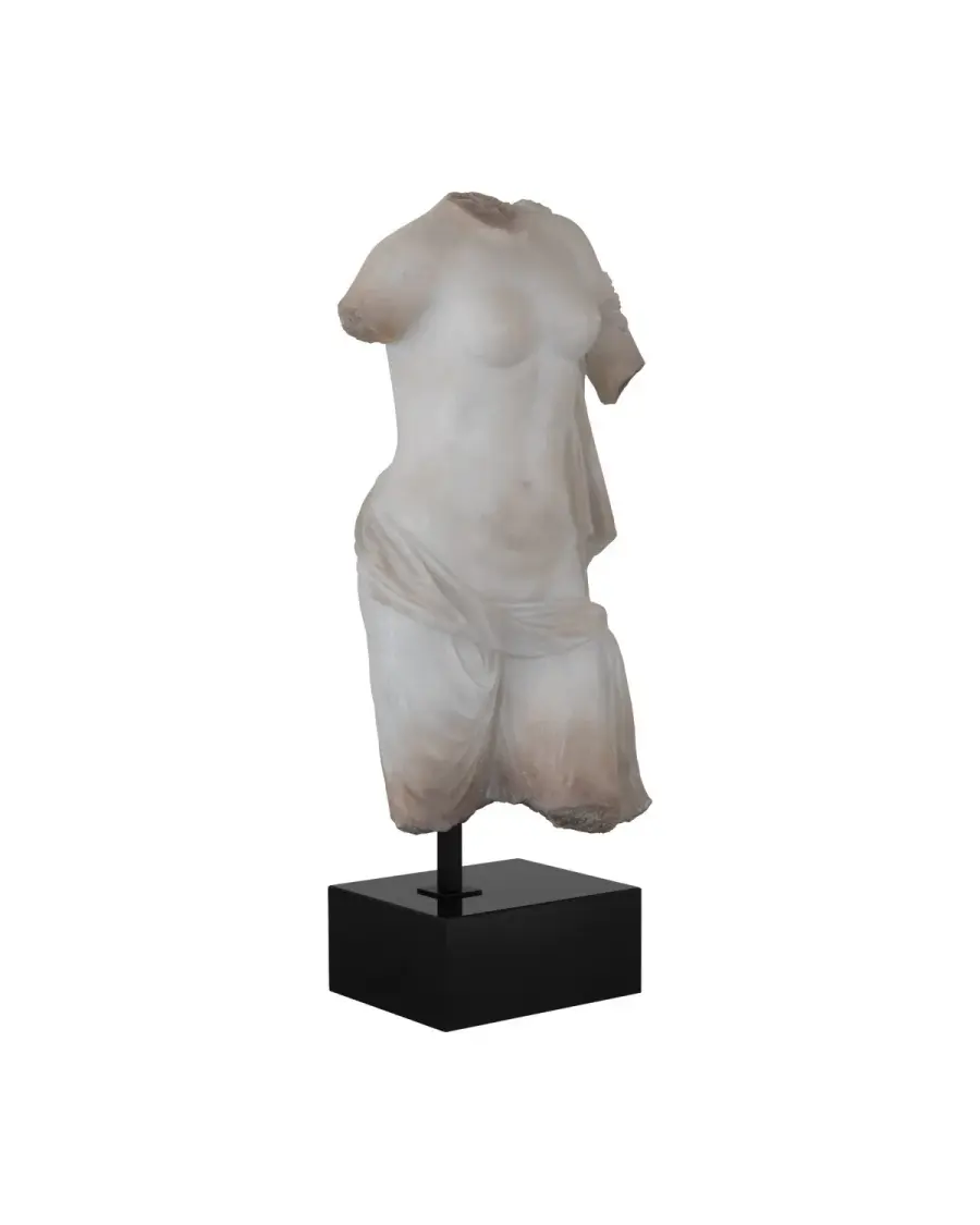 Cyprus Torso on Metal Stand