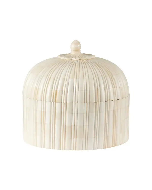 A stunning decorative box featuring hundreds of hand-placed natural bone pieces in a precise picket-tile pattern. The black interior creates dramatic contrast against the natural bone exterior, making it both functional storage and sculptural art.