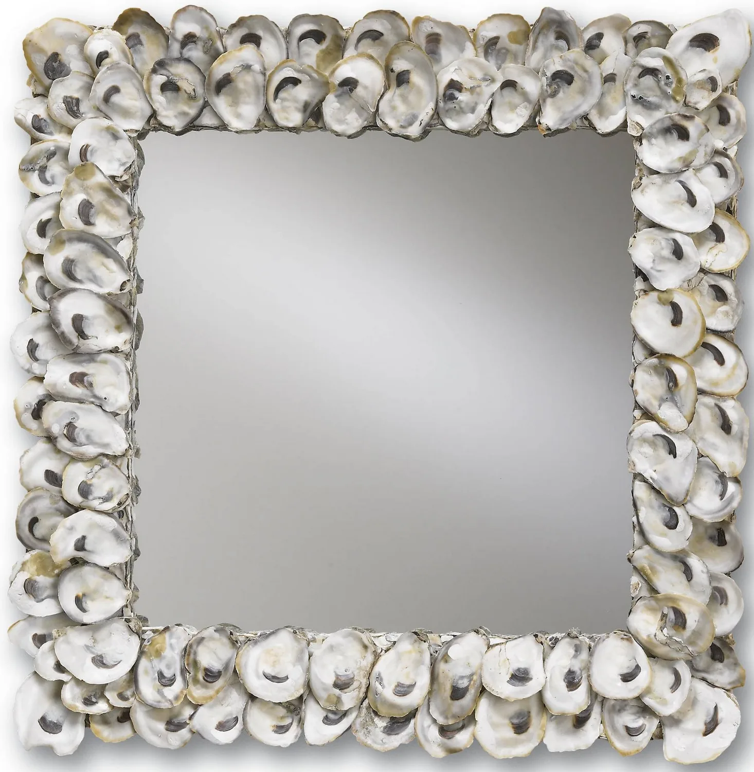 Oyster Shell Collection Mirror in Natural/Mirror