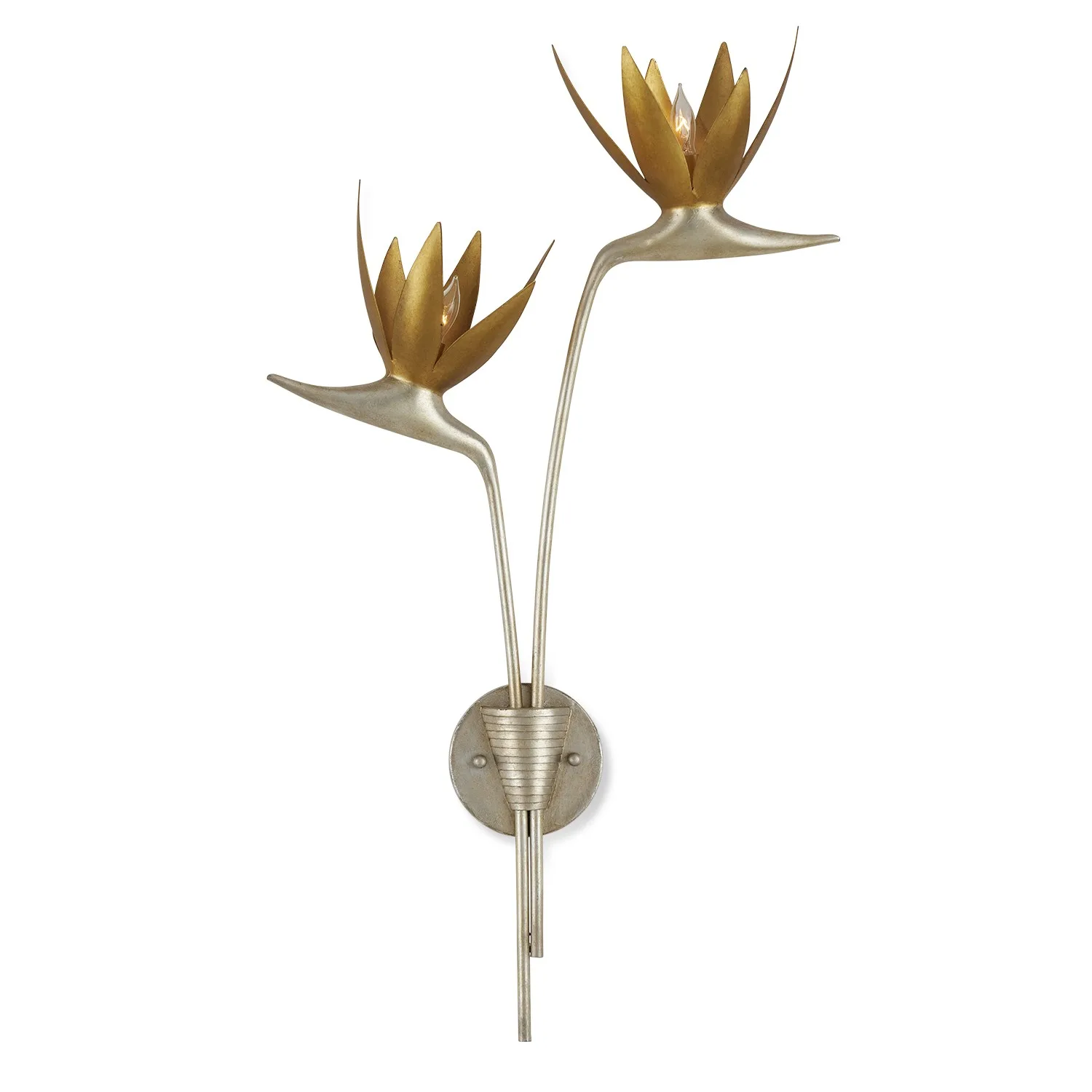 Paradiso Two Light Wall Sconce