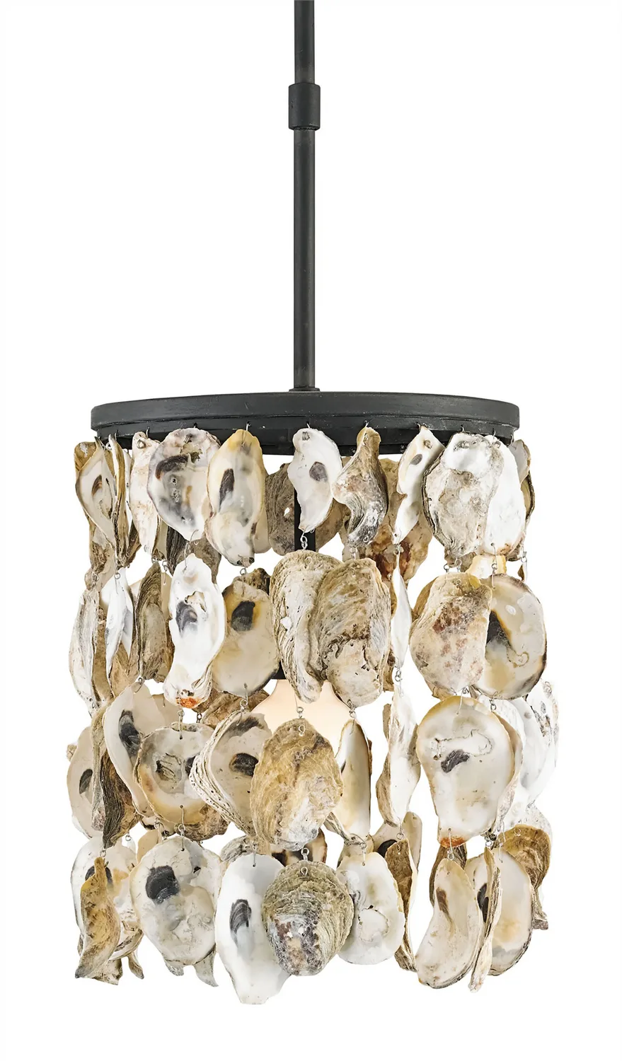 Oyster Shell Collection One Light Pendant in Blacksmith/Natural