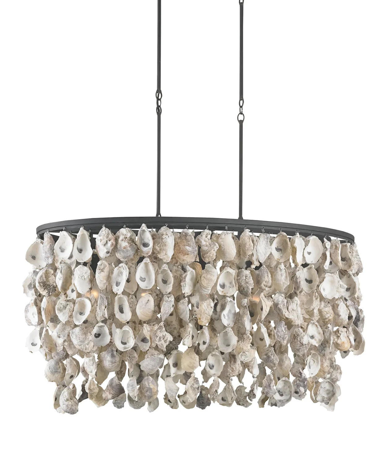 Oyster Shell Collection Five Light Chandelier in Natural/Blacksmith