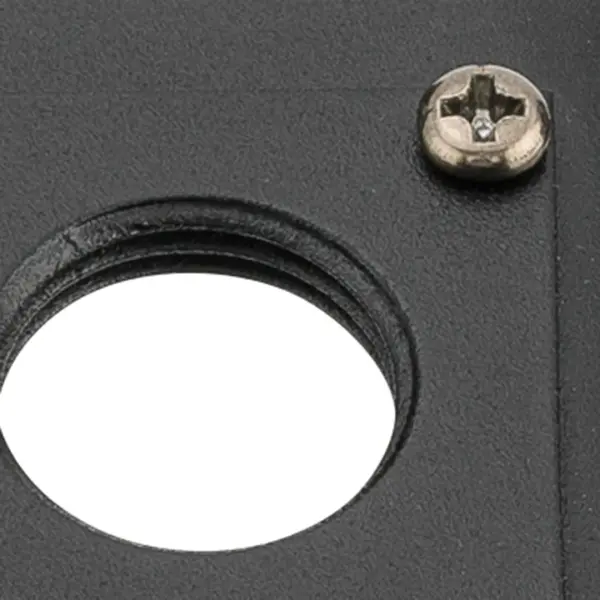 Black Brass Landscape Accessory - Image 3