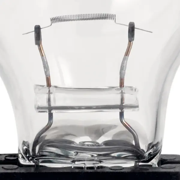 A 24.4-watt clear landscape lamp designed for 12-volt outdoor lighting systems. Provides dependable illumination for pathways, gardens, and architectural accent lighting. - alternate view