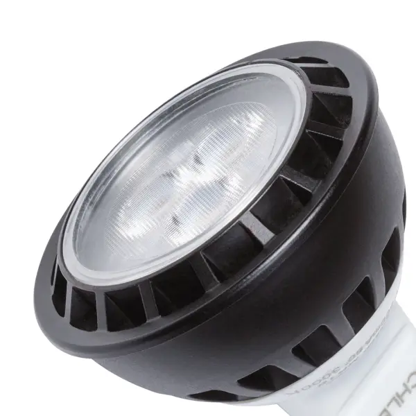 Energy-efficient 12V LED landscape lamp delivers 285 lumens of warm 2700K light in a compact 2-inch design. Damp-rated for outdoor durability with integrated LED technology for long-lasting performance. - alternate view