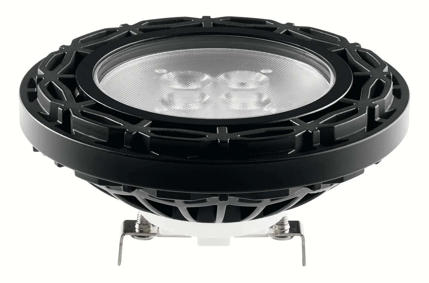 Landscape LED PAR36 12V Lamp in Black