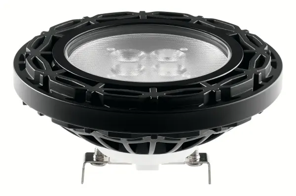 Landscape LED PAR36 12V Lamp in Black