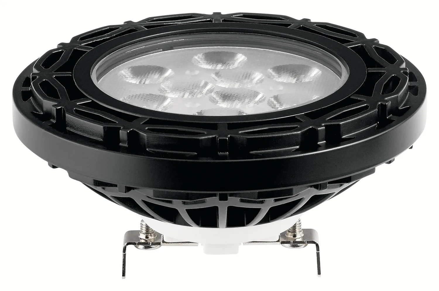 Landscape LED PAR36 12V Lamp in Black