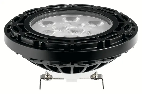 Landscape LED PAR36 12V Lamp in Black