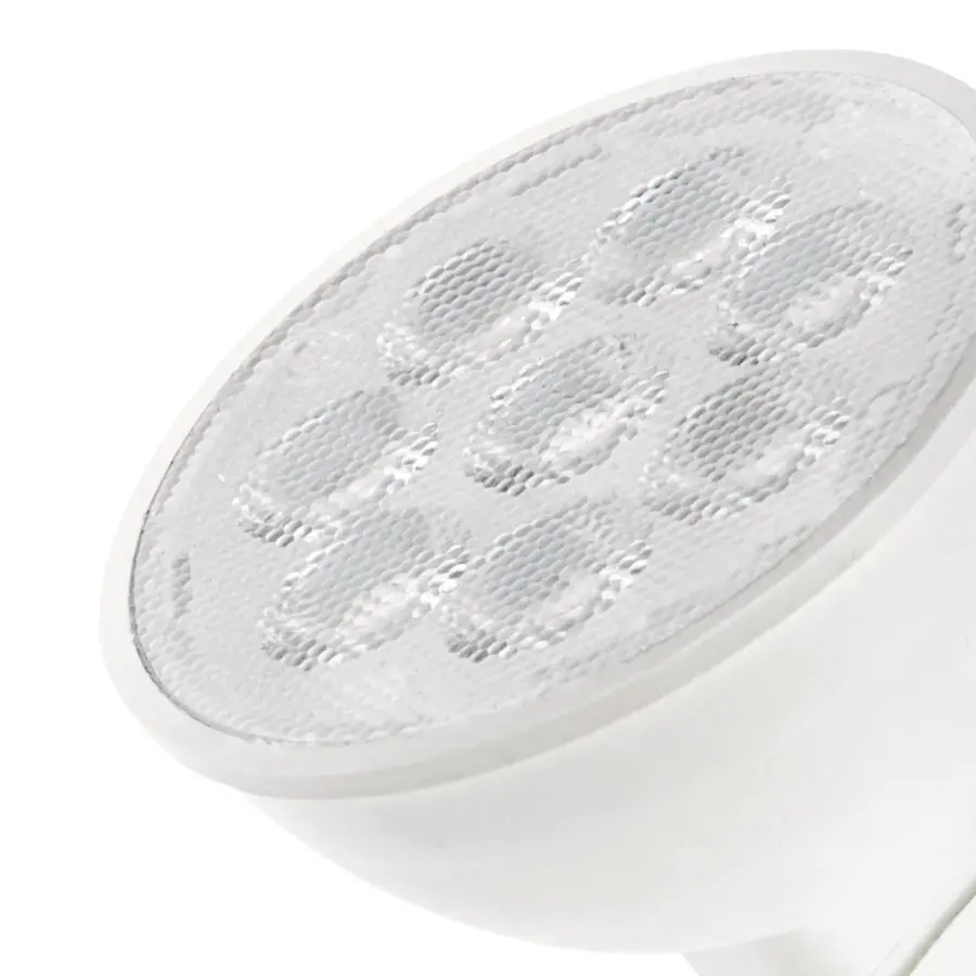 CS LED Lamp 2700K - 7W Landscape Bulb - Image 2