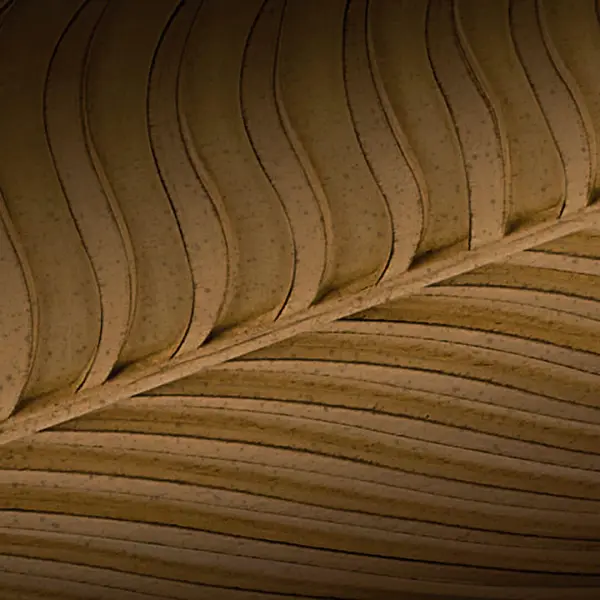 Weather-Ready 56" Fan with AC Motor for Covered Outdoor Spaces - Image 3