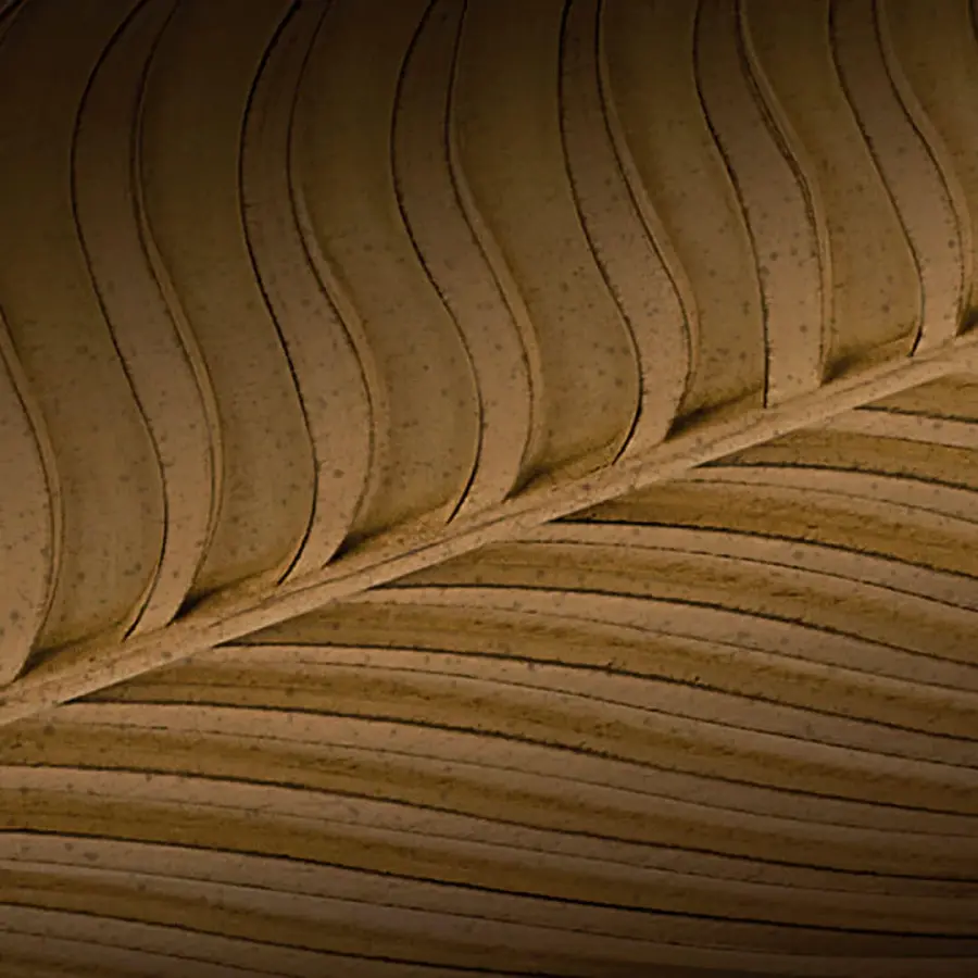 Weather-Ready 56" Fan with AC Motor for Covered Outdoor Spaces - Image 3