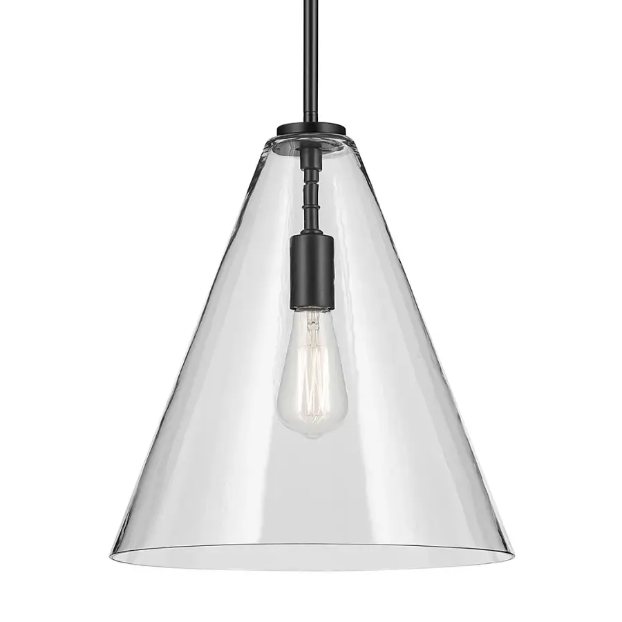 Everly 1-Light Pendant in Black - Image 1